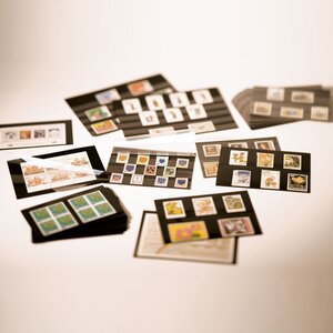 Cartes de classement – 2 bandes – 148 × 85 mm – carton noir rigide – avec feuille de protection – adaptées aux timbres et objets de collection ■ par 100 pièces