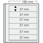 Insert sheets, Champagne - 6 compartments horizontal - SAFE, Dual - 14 Rings - Pocket dim: 190x37 mm. ■ per piece.