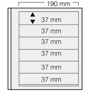Insert sheets, Champagne - 6 compartments horizontal, Dual - 14 Rings - Pocket dim: 190x37 mm. (Lightly used article)
