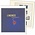 Preprint sheets nr:  53 - Netherlands - Album: 191-80 - sheet for Basic album - Year: 1982 - Lindner, T preprint sheets (champagne colored)