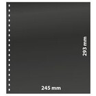Feuilles de pochettes - 1 compartiment(s): 245 x 293 mm - Omnia (09) - Blanc - 18 Anneaux ■ par pc.