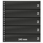 Insert sheets - 5 compartment(s): 245 x 52 mm - Omnia (013) - White - 18 Rings ■ per pc.