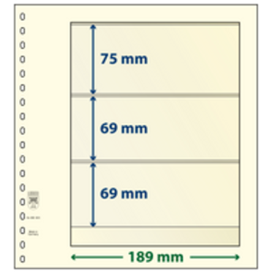 Insert sheets - 3 compartment(s): 189 x 75/69/69 mm - T-Blanco (802303) - Champagne - 18 Rings