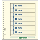 Feuilles de pochettes - 7 compartiment(s): 189 x 30/28/28/28/28/28/28 mm - T-Blanco (802700) - Champagne - 18 Anneaux ■ par pc.