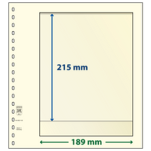 Insert sheets - 1 compartment(s): 189 x 215 mm - T-Blanco (802102) - Champagne - 18 Rings