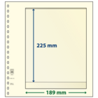 blad Feuilles de pochettes - 1 compartiment(s): 189 x 225 mm - T-Blanco (802104) - Champagne - 18 Anneaux ■ par pc.