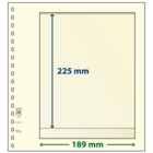 Lindner, T-Blank sheets (18 rings) 1 compartment (189x225) Champagne - dim: 272x296 mm. ■ per  pc.
