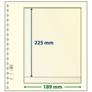 Insert sheets - 1 compartment(s): 189 x 225 mm - T-Blanco (802104) - Champagne - 18 Rings