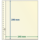 blad Feuilles de pochettes - 1 compartiment(s): 245 x 290 mm - T-Blanco (802106) - Champagne - 18 Anneaux ■ par pc.