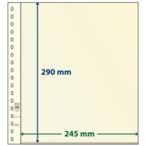 Insert sheets - 1 compartment(s): 245 x 290 mm - T-Blanco (802106) - Champagne - 18 Rings