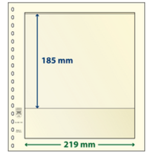 Insert sheets - 1 compartment(s): 219 x 185 mm - T-Blanco (802109) - Champagne - 18 Rings