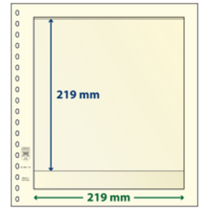 Insert sheets - 1 compartment(s): 219 x 219 mm - T-Blanco (802110) - Champagne - 18 Rings