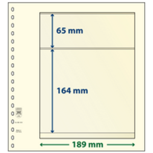 Insert sheets - 2 compartment(s): 189 x 65/164 mm - T-Blanco (802203) - Champagne - 18 Rings