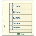 Feuilles de pochettes - 5 compartiment(s): 189 x 51/35/52/30/30 mm - T-Blanco (802507) - Champagne - 18 Anneaux ■ par pc.
