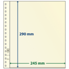 Lindner, T-Blank sheets (18 rings) 1 compartment (245x290) Champagne - dim: 272x296 mm. ■ per  pc.
