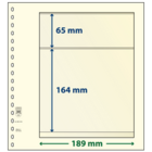 Lindner, T-Blank sheets (18 rings) 2 compartment (189x65, 189x164) Champagne - dim: 272x296 mm. ■ per  pc.