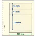 Insert sheets - 3 compartment(s): 189 x 45/44/124 mm - T-Blanco (802305) - Champagne - 18 Rings ■ per pc.
