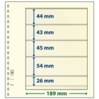 Feuilles de pochettes - 5 compartiment(s): 189 x 44/43/45/54/26 mm - T-Blanco (802511) - Champagne - 18 Anneaux ■ par pc.
