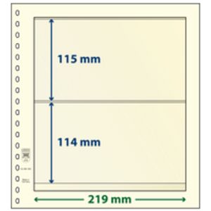 Insert sheets - 2 compartment(s): 189 x 115/114 mm - T-Blanco (802208) - Champagne - 18 Rings