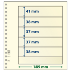 Insteekbladen - 5 vaks indeling: 189 x 41/38/37/37/38 mm - T-Blanco (802501) - Champagne - 18 Rings ■ per 10 stuks