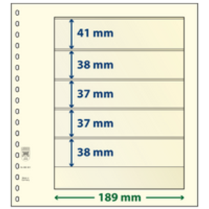 Insert sheets - 5 compartment(s): 189 x 41/38/37/37/38 mm - T-Blanco (802501) - Champagne - 18 Rings