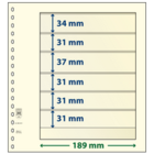 Insert sheets - 6 compartment(s): 189 x 34/31/37/31/31/31 mm - T-Blanco (802601) - Champagne - 18 Rings ■ per 10 pcs.