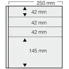 Safe, GARANT pages (14 rings) Transparent - 4 compartment (250x42, 250x145) White - dim: 270x297 mm. ■ per 5 pc.