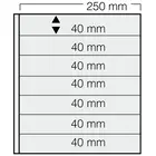 Safe, GARANT sheets (14 rings) Transparent - 7 compartment (250x40) White - dim: 270x297 mm. ■ per 5 pc.