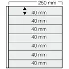 Insert sheets, Black 2-sided use - 7 compartments horizontal - SAFE, Garant - 14 Rings - Pocket dim: 250x40 mm. ■ per piece.