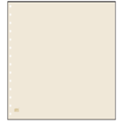 Blanc sheets, without any printing  - Sheet color: Champagne - SAFE (14 Rings) - dim: 270x297 mm. ■ per 10 pc.