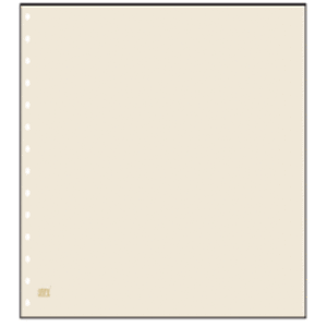Blanc sheets, without any printing - Sheet color: Champagne (14 Rings)