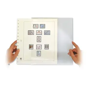 Sheet protectors (14 rings) Transparent - dim: 270 x 297 mm.