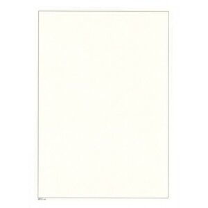 Blank sheets (805) with borderprint - color: Champagne - print color: Black - 4 Rings - Dim: 210 x 297 mm.