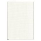Feuilles vierges (805a) avec impression bordure et quadrillée - couleur: Champagne - couleur d'impression: Gris argenté -  - Dim: 210 x 297 mm. ■ par 10 pcs.