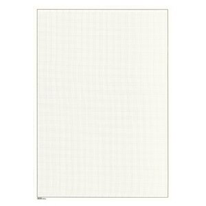 Blanco bladen (805a) met kaderlijn en ruitjesprint - kleur: Champagne - printkleur: Zilvergrijs -  - Afm: 210 x 297 mm.