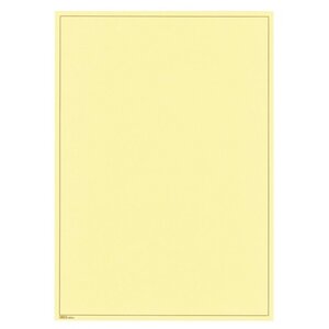 Blankoblätter (805b) mit Rahmendruck - Farbe: Gelb - Druckfarbe: Braun -  - Abm: 210 x 297 mm.
