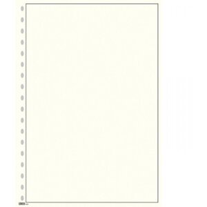 Blank sheets (804) with borderprint - color: Champagne - print color: Black - 18 Rings - Dim: 210 x 297 mm.