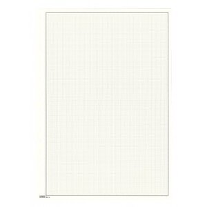 Blank sheets (804a) with border and  gridprint - color: Champagne - print color: Silver grey - 18 Rings - Dim: 210 x 297 mm.