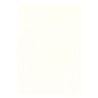 Blank sheets (804o) without print - color: Champagne - 18 Rings - Dim: 210 x 297 mm. ■ per 10 pcs.