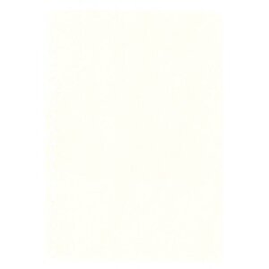 Blank sheets (804o) without print - color: Champagne - 18 Rings - Dim: 210 x 297 mm.