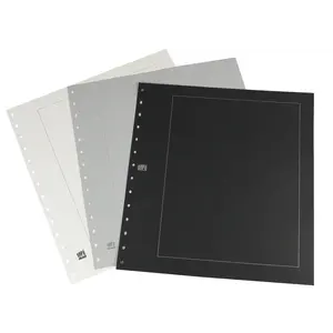 Blanc sheets, with borderline print - Sheet color: Champagne and Black print (14 Rings)