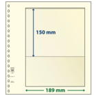 Insert sheets - 1 compartment(s): 189 x 130 mm - T-Blanco (802101) - Champagne - 18 Rings ■ per pc.