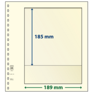 Insert sheets - 1 compartment(s): 189 x 185 mm - T-Blanco (802103) - Champagne - 18 Rings