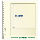 Insert sheets - 1 compartment(s): 189 x 185 mm - T-Blanco (802103) - Champagne - 18 Rings ■ per pc.