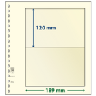 Insert sheets - 1 compartment(s): 189 x 120 mm - T-Blanco (802105) - Champagne - 18 Rings ■ per 10 pcs.