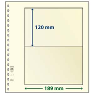Insert sheets - 1 compartment(s): 189 x 120 mm - T-Blanco (802105) - Champagne - 18 Rings