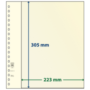 Insert sheets - 1 compartment(s): 223 x 305 mm - T-Blanco (802112) - Champagne - 18 Rings