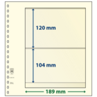 Insert sheets - 2 compartment(s): 189 x 120/104 mm - T-Blanco (802202) - Champagne - 18 Rings ■ per 10 pcs.
