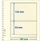 Insert sheets - 2 compartment(s): 189 x 125/92 mm - T-Blanco (802205) - Champagne - 18 Rings ■ per pc.