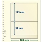Lindner, T-Blank sheets (18 rings) 2 compartment (189x125, 189x92) Champagne - dim: 272x296 mm. ■ per  pc.